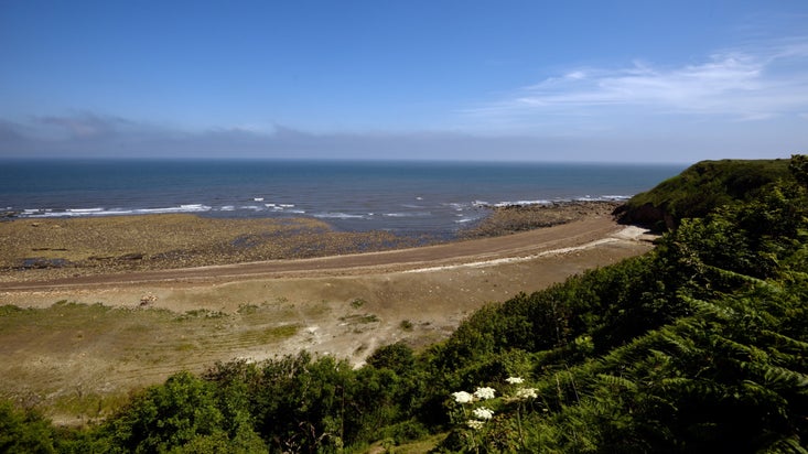 View from a green cliff down to a beach with lots of rocks and rock pools visible.